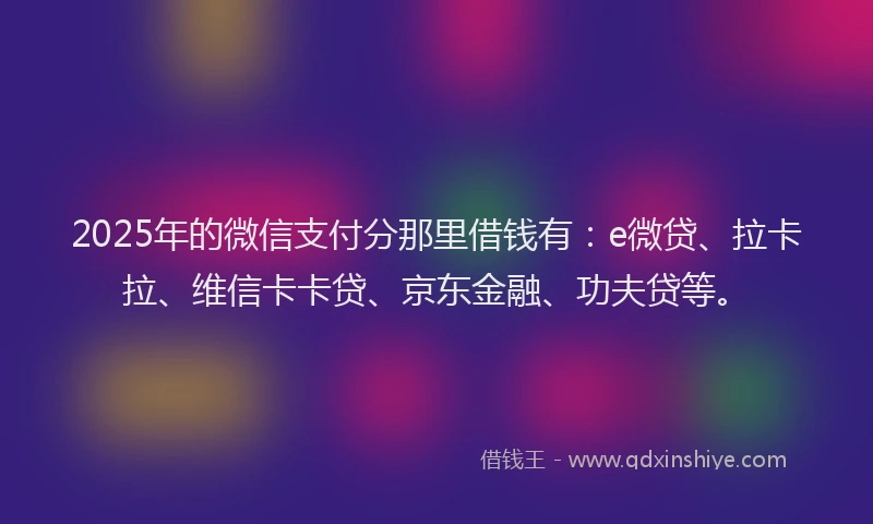 2025年的微信支付分那里借钱有：e微贷、拉卡拉、维信卡卡贷、京东金融、功夫贷等。