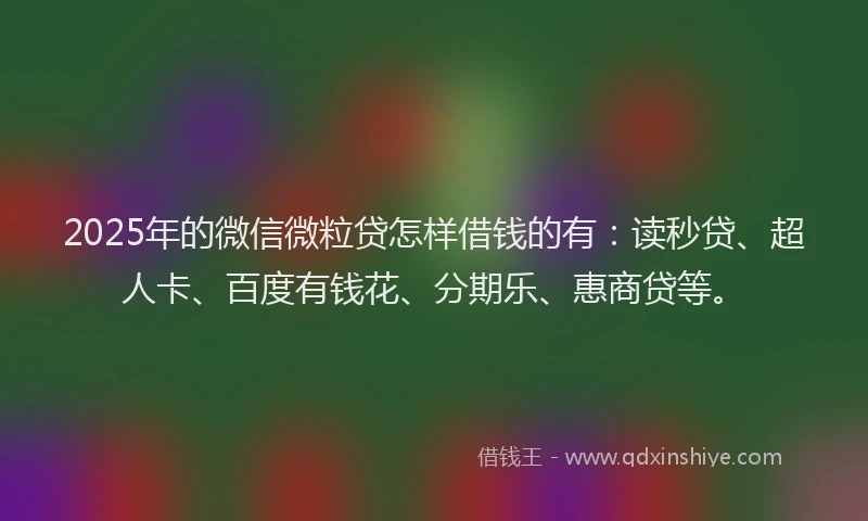 2025年的微信微粒贷怎样借钱的有：读秒贷、超人卡、百度有钱花、分期乐、惠商贷等。