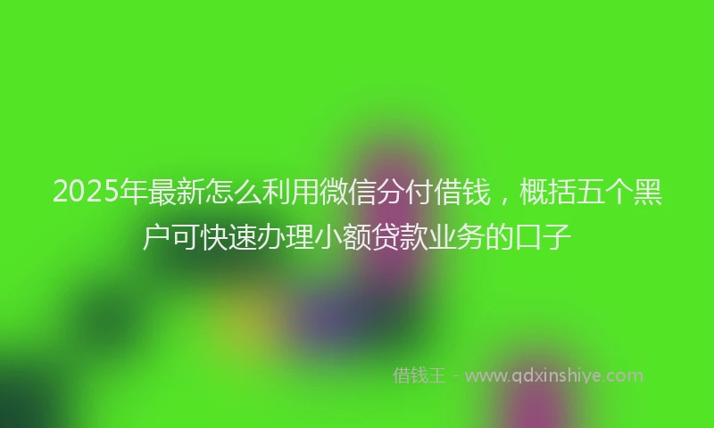 2025年最新怎么利用微信分付借钱，概括五个黑户可快速办理小额贷款业务的口子