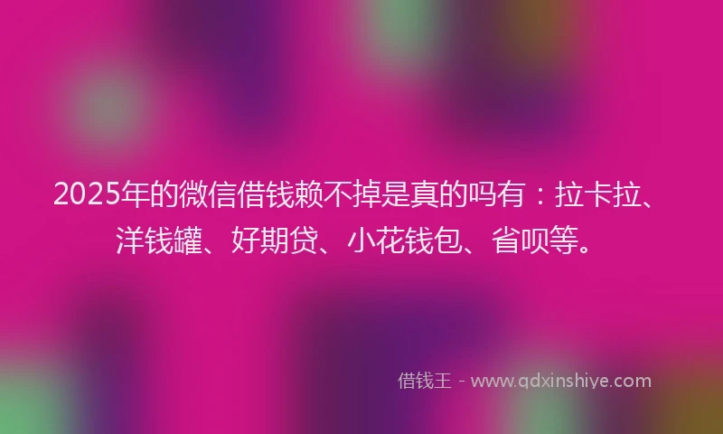 2025年的微信借钱赖不掉是真的吗有：拉卡拉、洋钱罐、好期贷、小花钱包、省呗等。