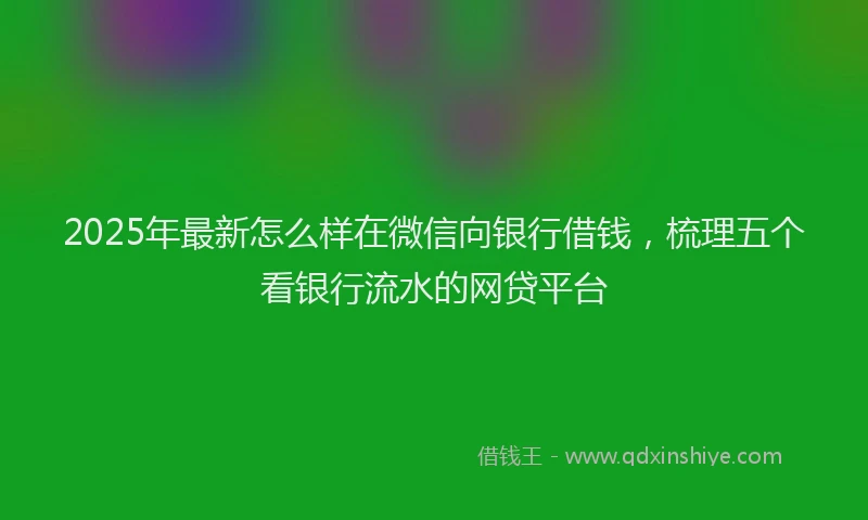 2025年最新怎么样在微信向银行借钱，梳理五个看银行流水的网贷平台