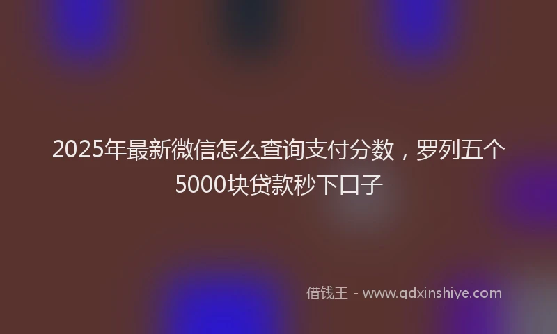 2025年最新微信怎么查询支付分数，罗列五个5000块贷款秒下口子