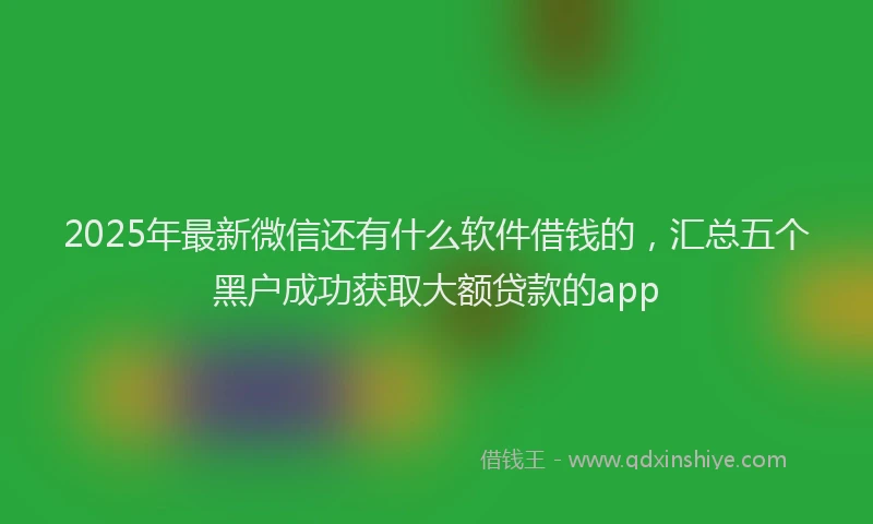 2025年最新微信还有什么软件借钱的，汇总五个黑户成功获取大额贷款的app