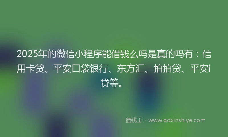 2025年的微信小程序能借钱么吗是真的吗有：信用卡贷、平安口袋银行、东方汇、拍拍贷、平安i贷等。