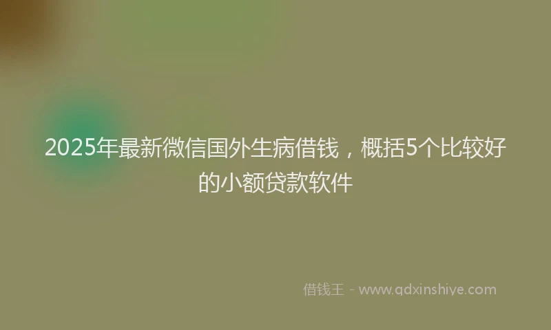 2025年最新微信国外生病借钱，概括5个比较好的小额贷款软件