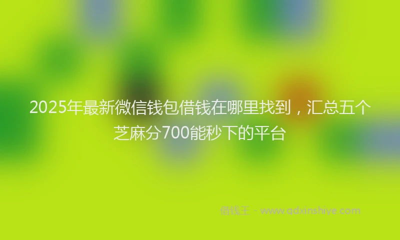 2025年最新微信钱包借钱在哪里找到，汇总五个芝麻分700能秒下的平台