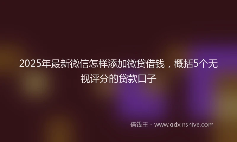 2025年最新微信怎样添加微贷借钱，概括5个无视评分的贷款口子