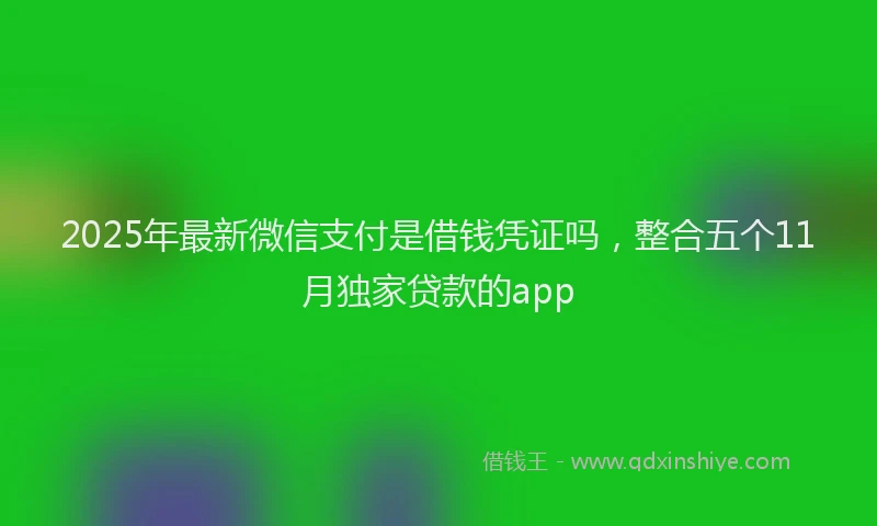 2025年最新微信支付是借钱凭证吗，整合五个11月独家贷款的app