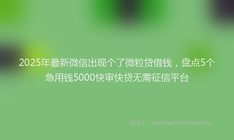 2025年最新微信出现个了微粒贷借钱，盘点5个急用钱5000快审快贷无需征信平台