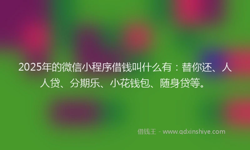 2025年的微信小程序借钱叫什么有：替你还、人人贷、分期乐、小花钱包、随身贷等。