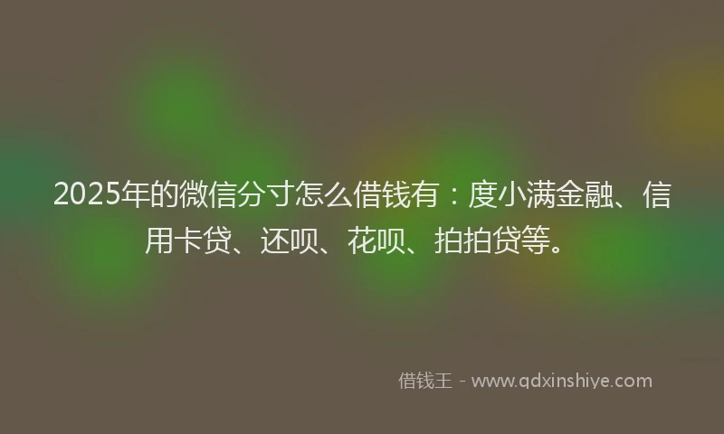 2025年的微信分寸怎么借钱有：度小满金融、信用卡贷、还呗、花呗、拍拍贷等。