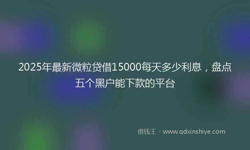 2025年最新微粒贷借15000每天多少利息，盘点五个黑户能下款的平台