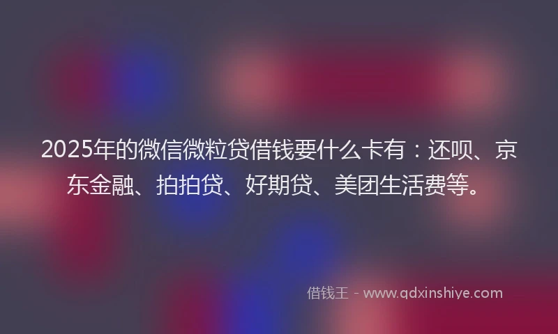 2025年的微信微粒贷借钱要什么卡有：还呗、京东金融、拍拍贷、好期贷、美团生活费等。