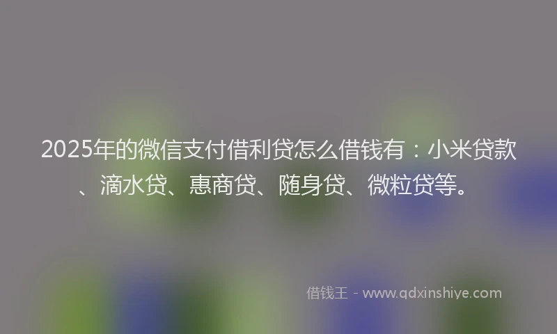 2025年的微信支付借利贷怎么借钱有：小米贷款、滴水贷、惠商贷、随身贷、微粒贷等。