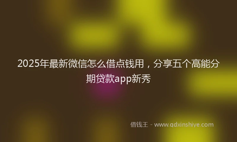 2025年最新微信怎么借点钱用，分享五个高能分期贷款app新秀
