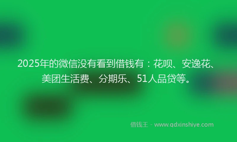 2025年的微信没有看到借钱有：花呗、安逸花、美团生活费、分期乐、51人品贷等。