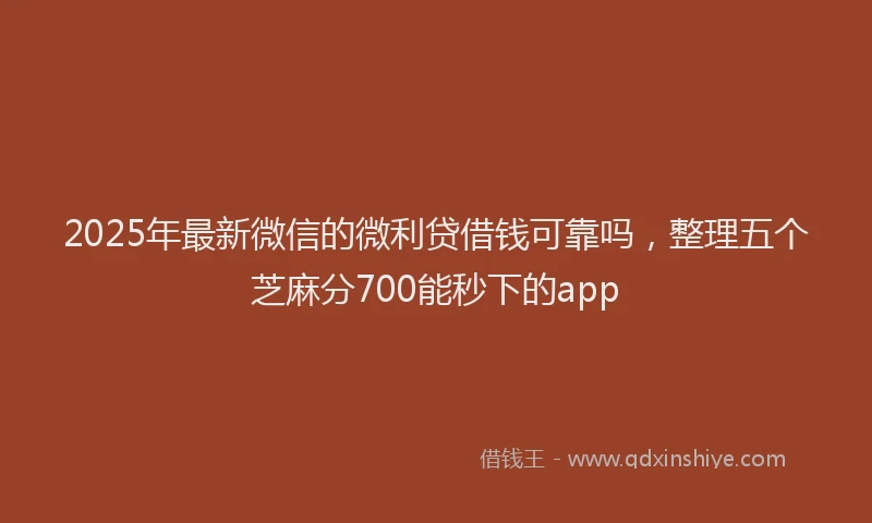 2025年最新微信的微利贷借钱可靠吗，整理五个芝麻分700能秒下的app
