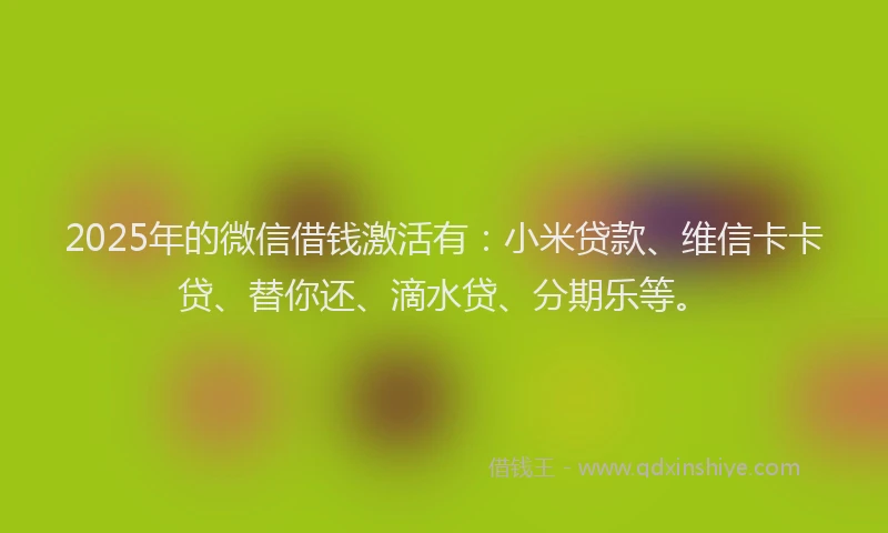 2025年的微信借钱激活有：小米贷款、维信卡卡贷、替你还、滴水贷、分期乐等。