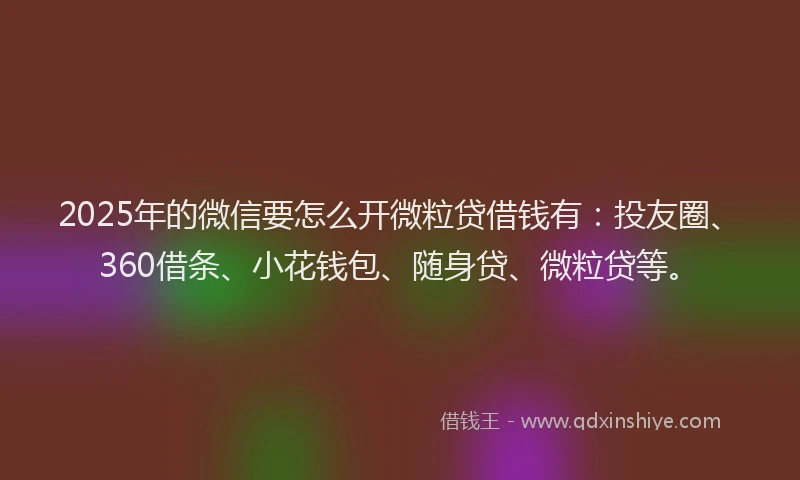 2025年的微信要怎么开微粒贷借钱有：投友圈、360借条、小花钱包、随身贷、微粒贷等。