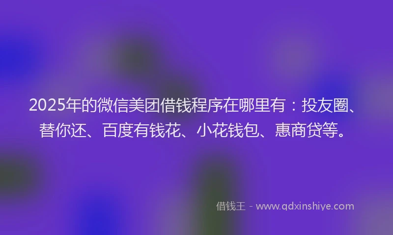 2025年的微信美团借钱程序在哪里有：投友圈、替你还、百度有钱花、小花钱包、惠商贷等。