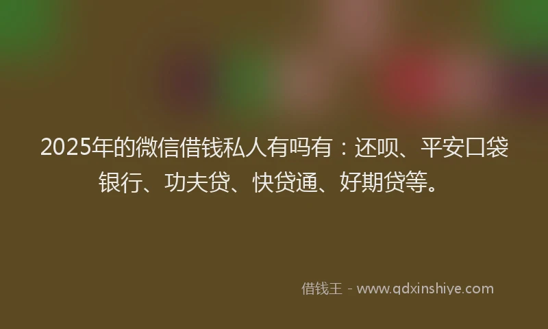 2025年的微信借钱私人有吗有：还呗、平安口袋银行、功夫贷、快贷通、好期贷等。