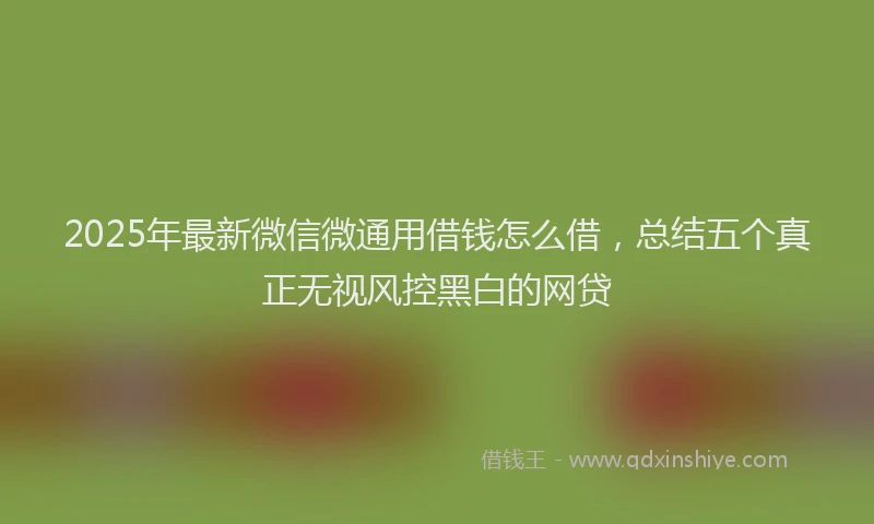 2025年最新微信微通用借钱怎么借，总结五个真正无视风控黑白的网贷