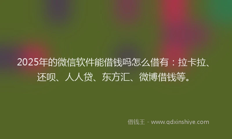 2025年的微信软件能借钱吗怎么借有：拉卡拉、还呗、人人贷、东方汇、微博借钱等。
