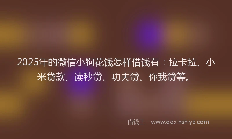 2025年的微信小狗花钱怎样借钱有：拉卡拉、小米贷款、读秒贷、功夫贷、你我贷等。