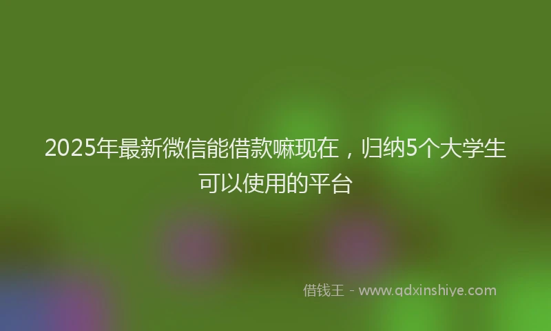 2025年最新微信能借款嘛现在，归纳5个大学生可以使用的平台
