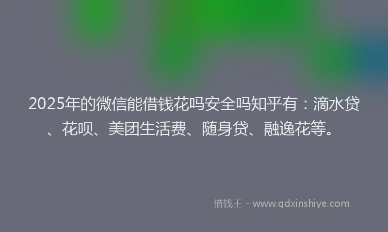 2025年的微信能借钱花吗安全吗知乎有：滴水贷、花呗、美团生活费、随身贷、融逸花等。