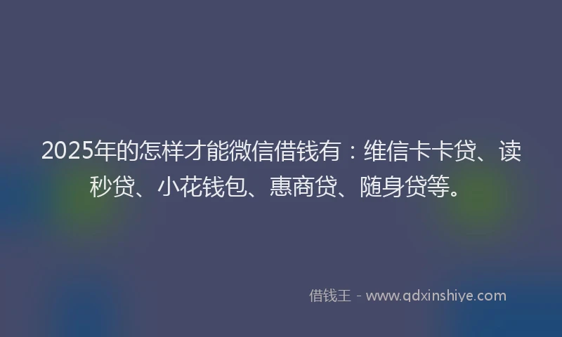 2025年的怎样才能微信借钱有：维信卡卡贷、读秒贷、小花钱包、惠商贷、随身贷等。