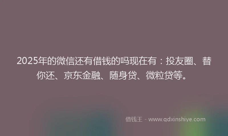 2025年的微信还有借钱的吗现在有：投友圈、替你还、京东金融、随身贷、微粒贷等。