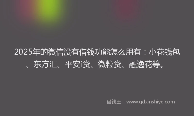 2025年的微信没有借钱功能怎么用有：小花钱包、东方汇、平安i贷、微粒贷、融逸花等。