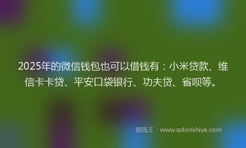 2025年的微信钱包也可以借钱有：小米贷款、维信卡卡贷、平安口袋银行、功夫贷、省呗等。