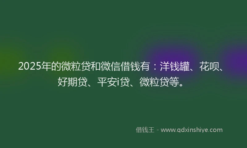 2025年的微粒贷和微信借钱有：洋钱罐、花呗、好期贷、平安i贷、微粒贷等。