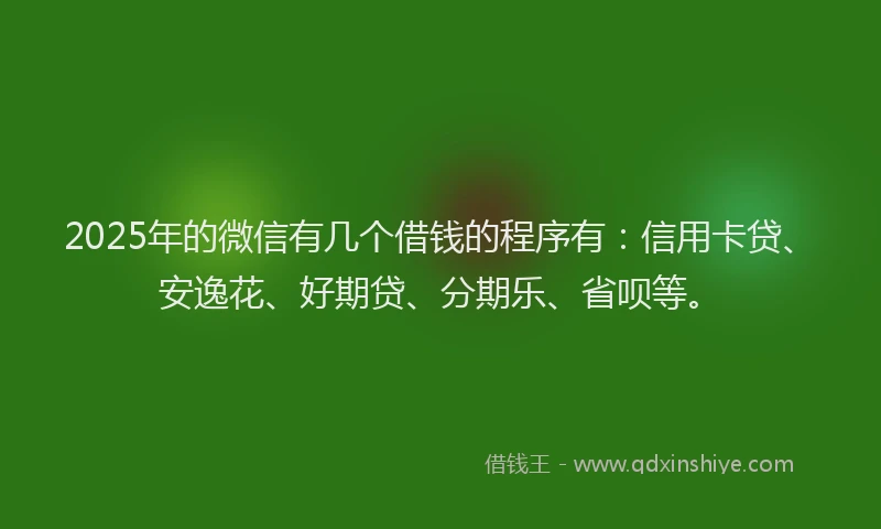 2025年的微信有几个借钱的程序有：信用卡贷、安逸花、好期贷、分期乐、省呗等。