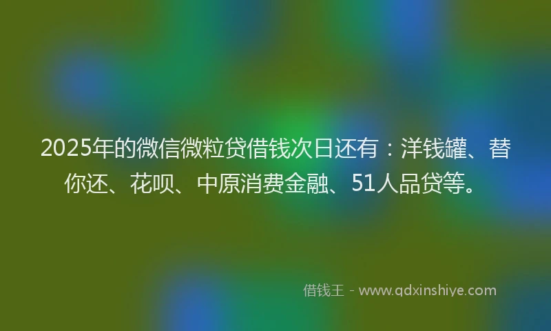 2025年的微信微粒贷借钱次日还有：洋钱罐、替你还、花呗、中原消费金融、51人品贷等。
