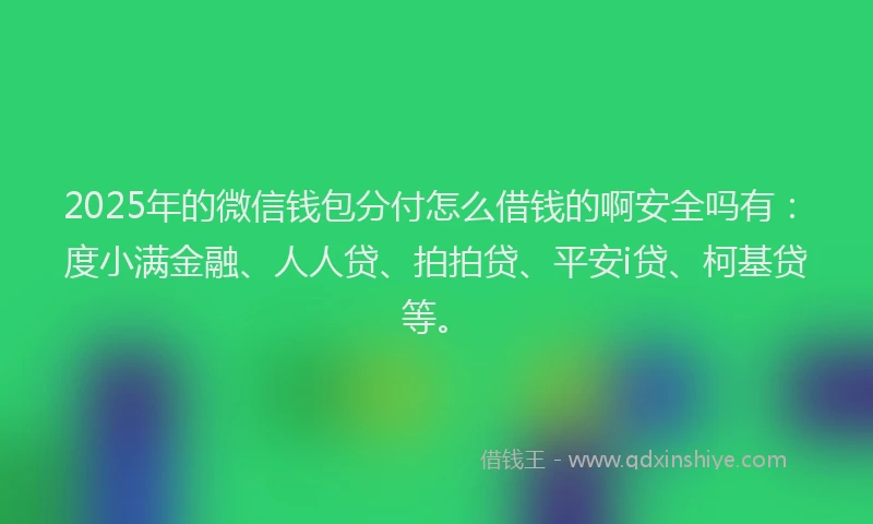 2025年的微信钱包分付怎么借钱的啊安全吗有：度小满金融、人人贷、拍拍贷、平安i贷、柯基贷等。