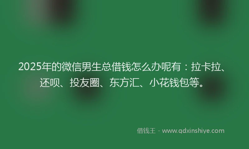 2025年的微信男生总借钱怎么办呢有：拉卡拉、还呗、投友圈、东方汇、小花钱包等。