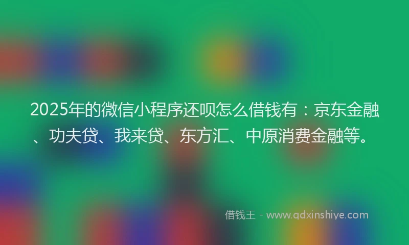 2025年的微信小程序还呗怎么借钱有：京东金融、功夫贷、我来贷、东方汇、中原消费金融等。