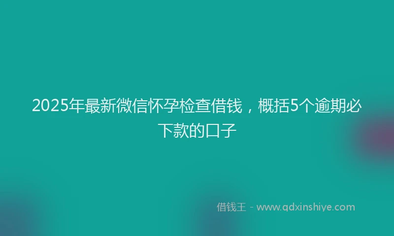 2025年最新微信怀孕检查借钱，概括5个逾期必下款的口子