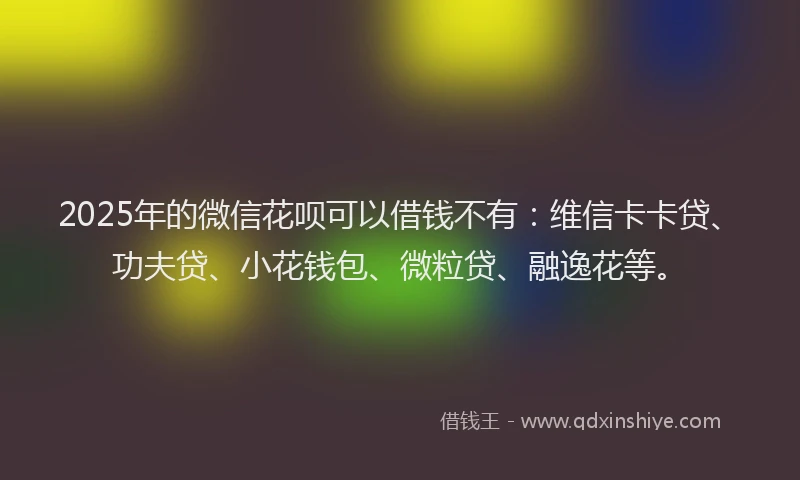 2025年的微信花呗可以借钱不有：维信卡卡贷、功夫贷、小花钱包、微粒贷、融逸花等。