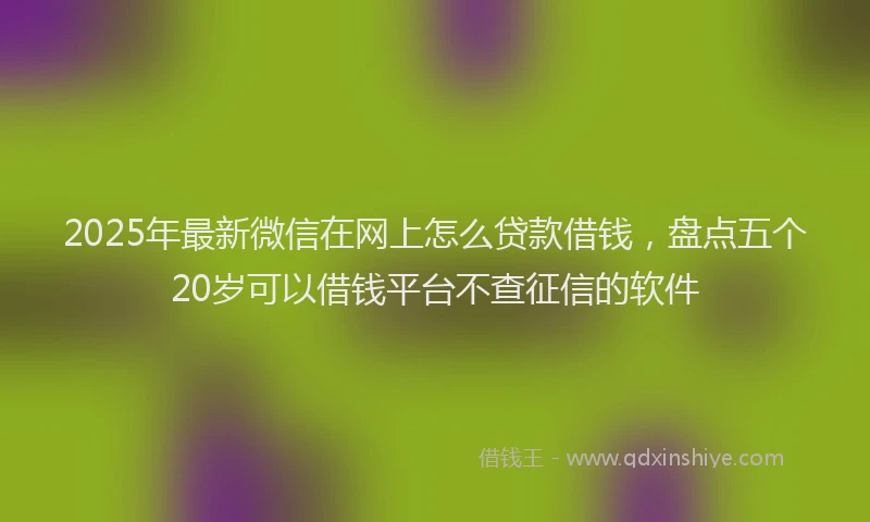 2025年最新微信在网上怎么贷款借钱，盘点五个20岁可以借钱平台不查征信的软件