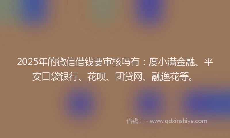2025年的微信借钱要审核吗有：度小满金融、平安口袋银行、花呗、团贷网、融逸花等。
