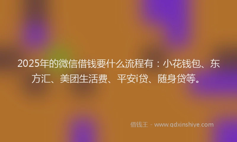 2025年的微信借钱要什么流程有：小花钱包、东方汇、美团生活费、平安i贷、随身贷等。
