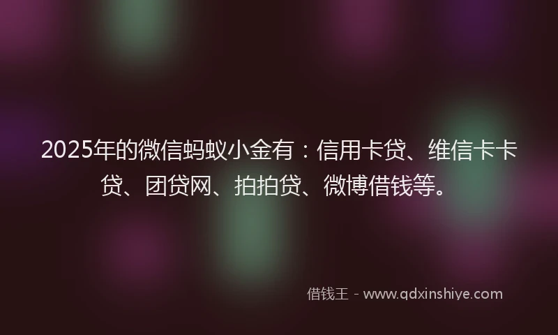 2025年的微信蚂蚁小金有：信用卡贷、维信卡卡贷、团贷网、拍拍贷、微博借钱等。