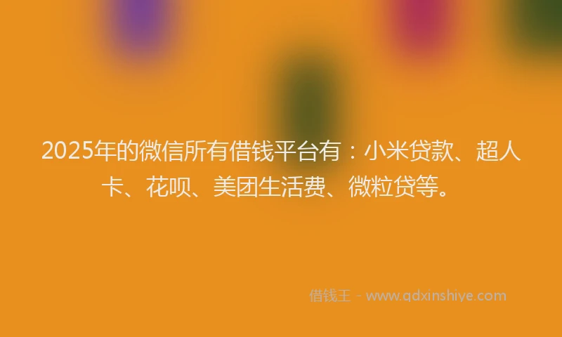 2025年的微信所有借钱平台有：小米贷款、超人卡、花呗、美团生活费、微粒贷等。