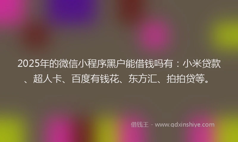 2025年的微信小程序黑户能借钱吗有：小米贷款、超人卡、百度有钱花、东方汇、拍拍贷等。