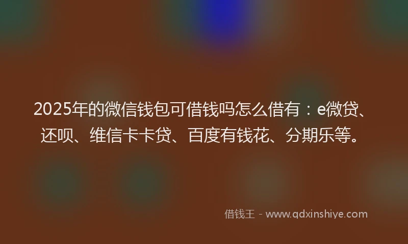 2025年的微信钱包可借钱吗怎么借有：e微贷、还呗、维信卡卡贷、百度有钱花、分期乐等。