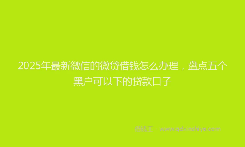 2025年最新微信的微贷借钱怎么办理，盘点五个黑户可以下的贷款口子